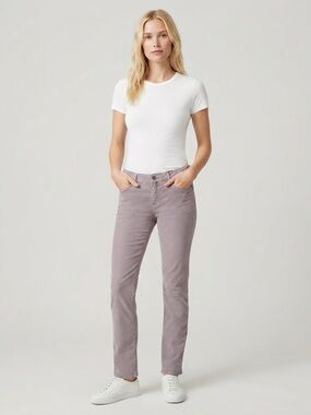Pilcro and the Letterpress Straight-Leg Corduroy Pants in Dusty Lavender Size 29